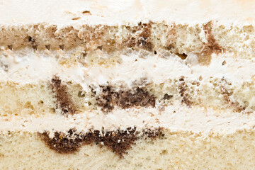 Delicious cake texture.  A photo of layers of coffee cake with vanilla cream texture and background, close up