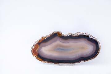 Beautiful slice of striped agate on a white background, with copy space.