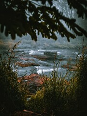 River through the leaves.