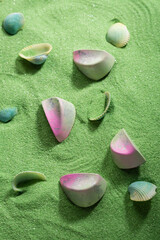 Chocolate candies on green sand and seashell