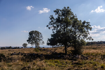 Fototapeta premium Auvergne 