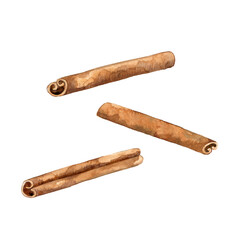 Watercolor cinnamon sticks isolated on white. Hand drawn dried bark stripes of spice for baking, cooking, seasoning. Natural condiment for packaging design