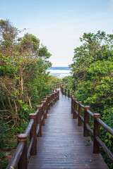Fototapeta na wymiar Caminho de madeira sobre o mangue na Praia do Santinho. Florianópolis, Santa Catarina, Brasil, florianopolis