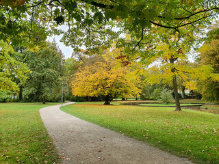 Parkweg im Hofgarten Bayreuth führt am Laubbaum mit gelben Blättern vorbei entlang eines Bachlaufs im Hofgarten Bayreuth. 2020. Perspektive 1