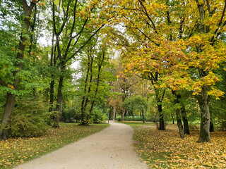 Fototapeta na wymiar Weg / Pfad / Waldweg im Hofgarten Bayreuth im Herbst, Oktober 2020. Gelb grüne Blätter hängen an den Bäumen und liegen auf dem Boden. Bayern, Oberfranken, Deutschland. 
