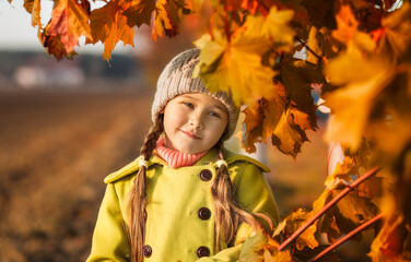 little girl 5 years old with autumn maple leaves