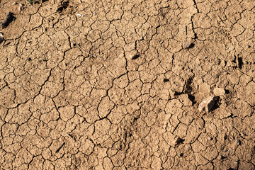 Texture dry cracked soil background pattern of drought lack of water