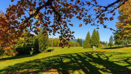 Naklejka premium Autumn scene at BC public park
