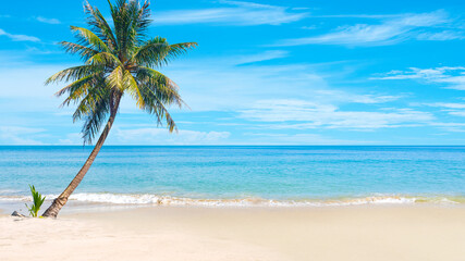 Fototapeta na wymiar Beautiful beaches and coconut trees in Thailand.