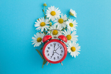 Red alarm clock and bouquet of white chamomiles in the center of the blue background