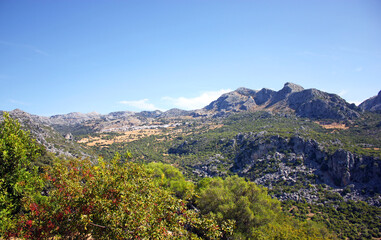 Fototapeta na wymiar Landscape of the Sierra de Grazalema Natural Park with the white village of Benaocaz in background, Cadiz province Andalusia Spain