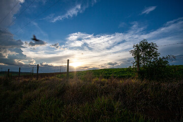 Pasto - Campo - Gado - Boi - Vaca - Planta&ccedil;&atilde;o - Por do Sol - Sitio - Fazenda