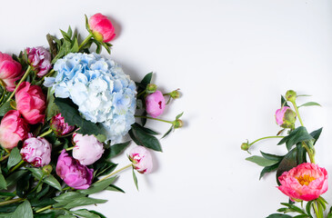 Fresh peony flowers