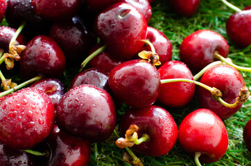 red fresh cherries on green grass, close view