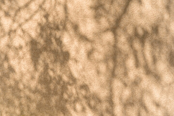 Abstract natural leaves shadows background on beige color wall texture, copy space.