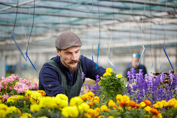 Cropped portrait of male gardener in the sunny greenhouse