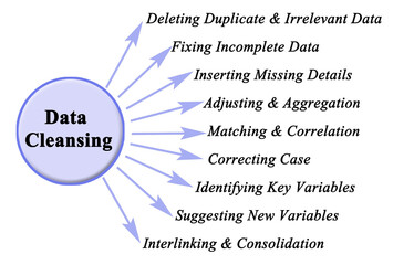 Nine Components of Data Cleansing
