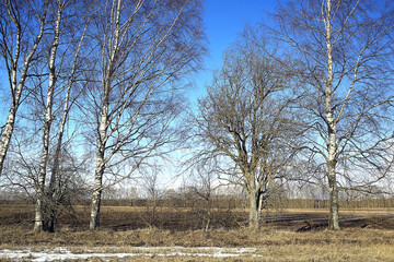 autumn park in city background landscape, abstract autumn view