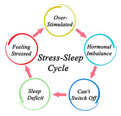 Five Components of Stress-Sleep Cycle