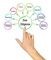 Eight Components of  Due Diligence