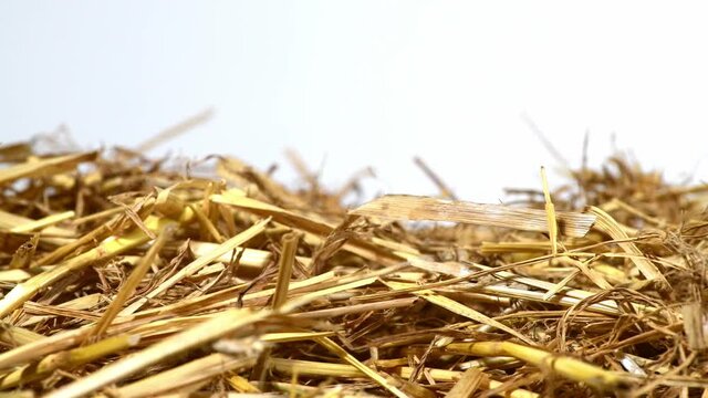 parallel tracking over a bunch of straw as border, isolated with white background