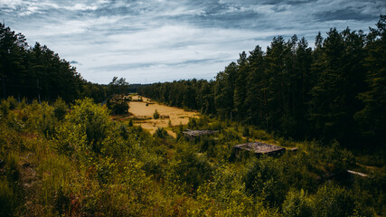 Landsape inside forest