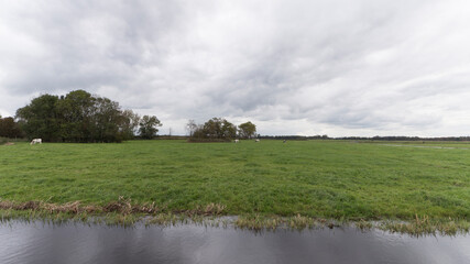 Fototapeta na wymiar Farmland in Abcoude, The Netherlands