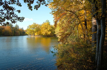 Fototapeta na wymiar Herbst am Bärensee bei Stuttgart
