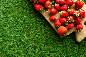 wooden cutting board with red fresh strawberries on green grass, close view