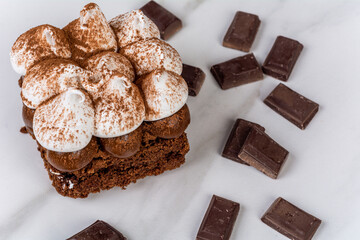 Close-up to delicious mini chocolate cake.