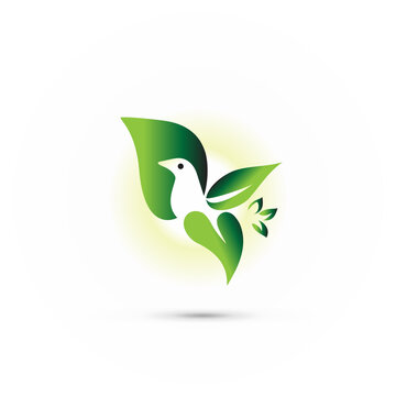 Logo bird leaf shape flying vector image 