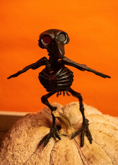 Raven skeleton and big pumpkin on orange background. Halloween decoration