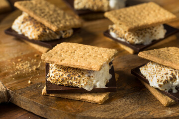 Homemade Gooey Marshmellow Smore