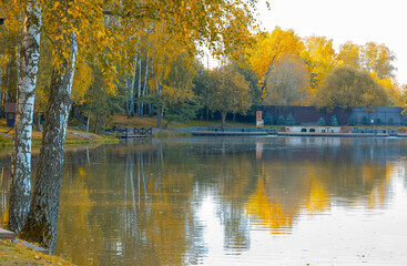autumn trees on the lake