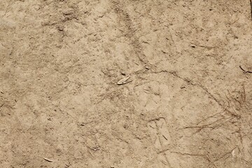 A close view of the dry dusty dirt surface.
