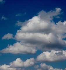 The white fluffy clouds in the blue sky.