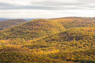 autumn landscape in the mountains