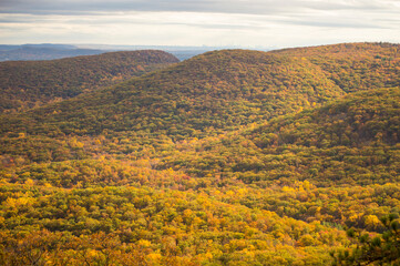 Obraz premium autumn in the mountains