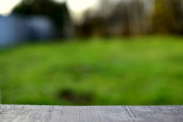Fototapeta premium wood planks on the background of the lawn