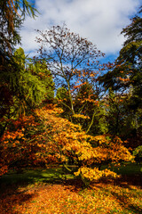 Beautiful autumn colours