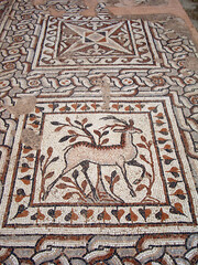 Animal patterned mosaics at the ruins of the Heraklea Lyncestis (Bitola) ancient city in teh Republic of North Macedonia.