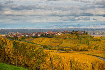 Fototapeta na wymiar Zellenberg im Elsass im Herbst