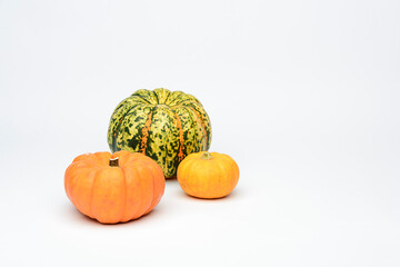 Various pumpkins isolated on a white background