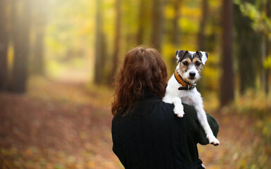 Young woman with dog in the autumn outdoor. High quality photo