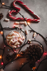 Flat lay for New Year, Christmas. Garland, candy canes, cocoa and cones, Christmas mood.
