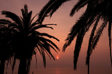 堀切峠の日の出