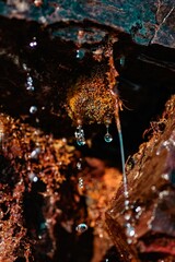 Water drops