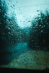Close up view of morning water drops on the nature plants. Harz National Park, Harz Mountains in Germany