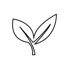 illustration of a leaf