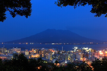 城山公園からの桜島の夜景